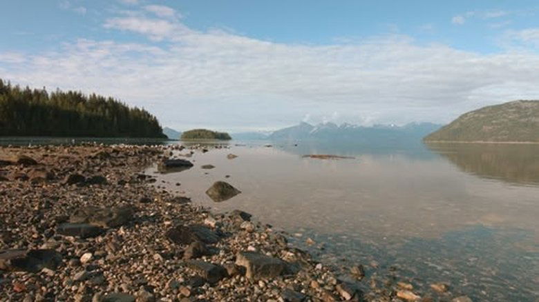 Tides of Life