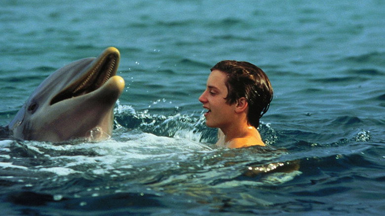 Flipper backdrop 8