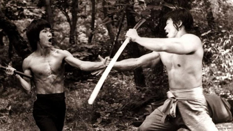 Enter the Game of Death backdrop 3