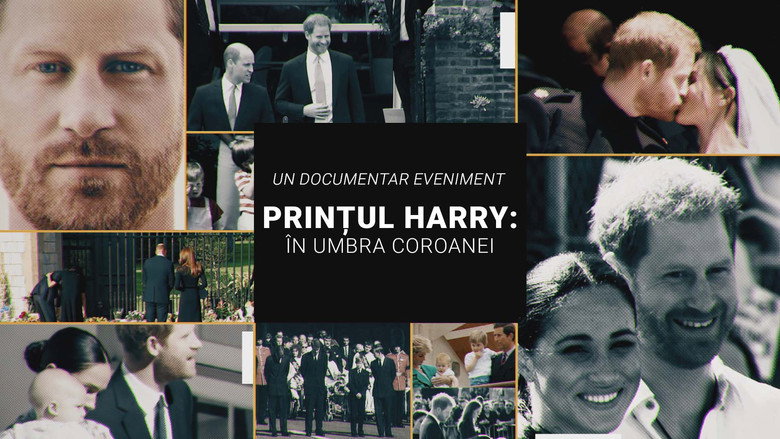 Harry: The Interview backdrop 6
