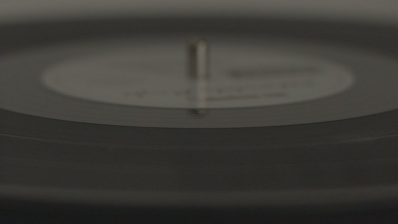 The Vinyl Player