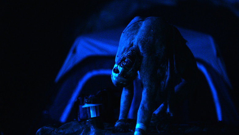 Malibu Horror Story backdrop 2
