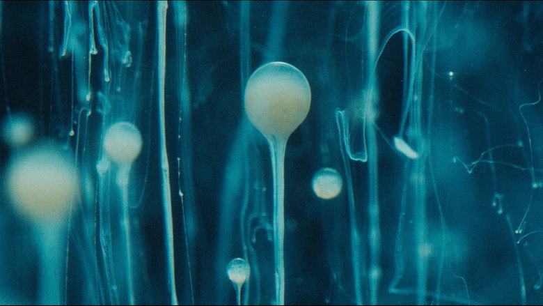 SPERMWORLD backdrop 8