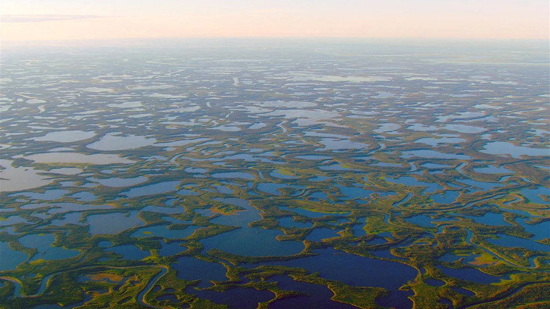 The Arctic: 66.5 Degrees North backdrop 2