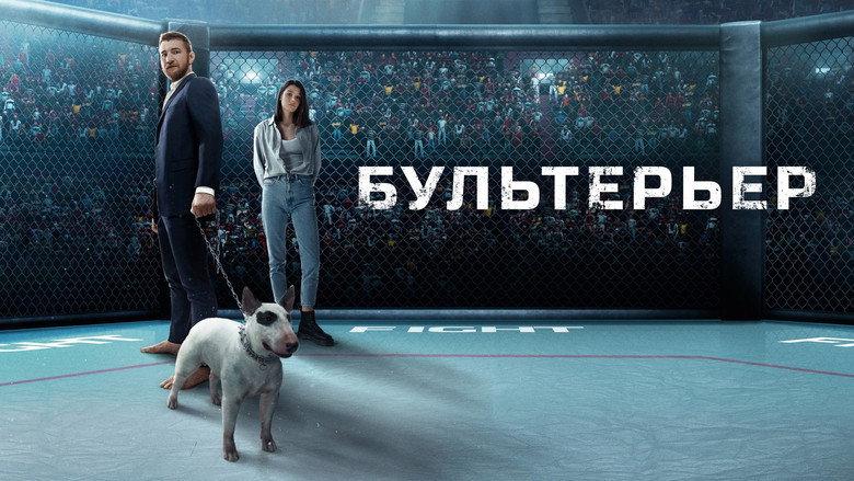 Bullterrier backdrop 2