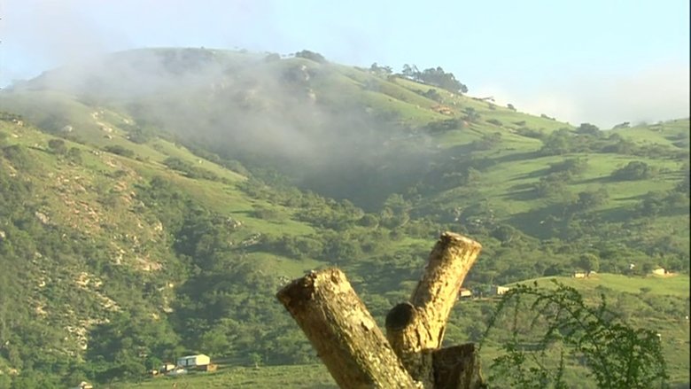 Beyond Borders (Part Two)