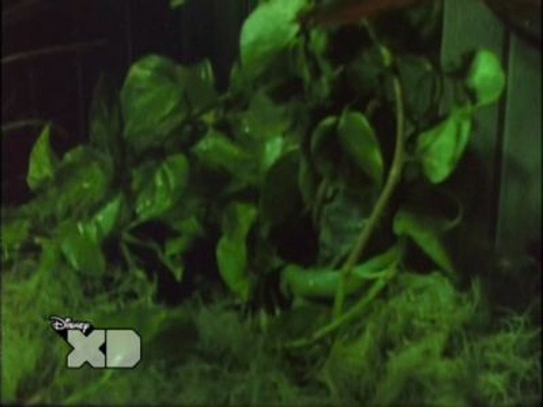 /mKsVxqFnVlL16kPB4EpcWts45Do.jpg