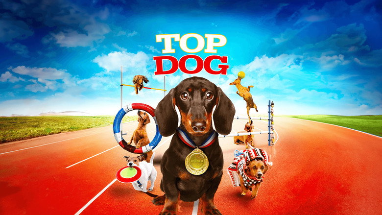 Wiener Dog Internationals backdrop 4