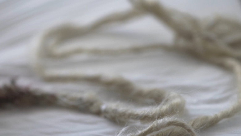 Tendrils backdrop 1