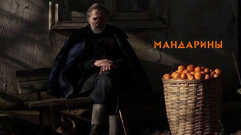 Tangerines backdrop 5
