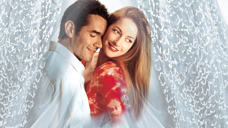 Velo de novia backdrop 4