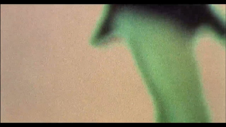 Julien Donkey-Boy backdrop 2