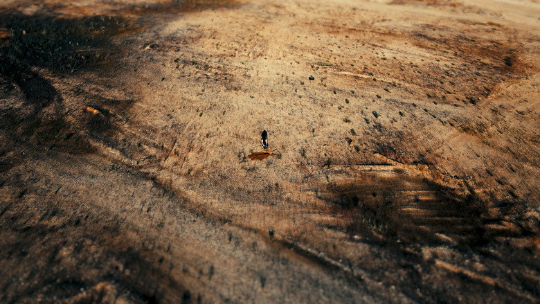 Faster, Hollywood: Die! Die! backdrop 4