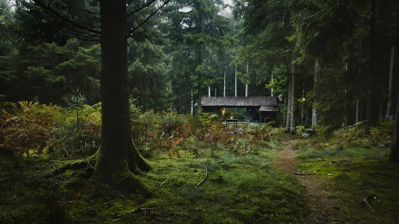 Door de bomen backdrop 1