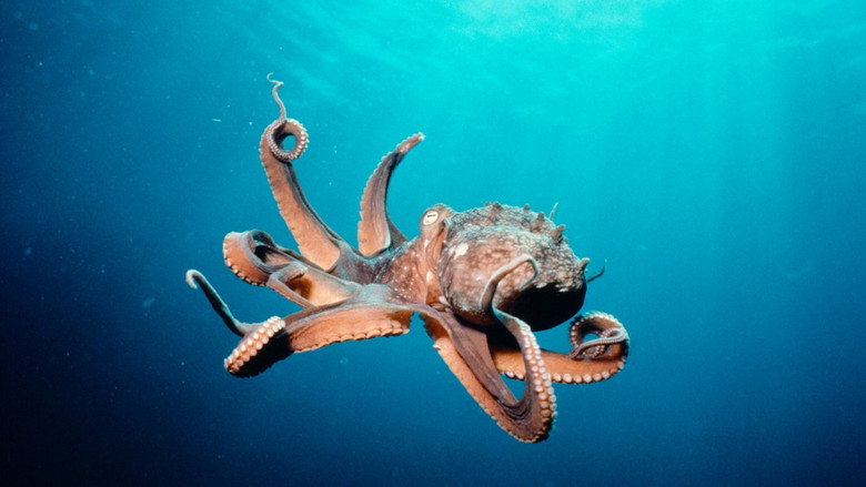Deep Sea 3D backdrop 3