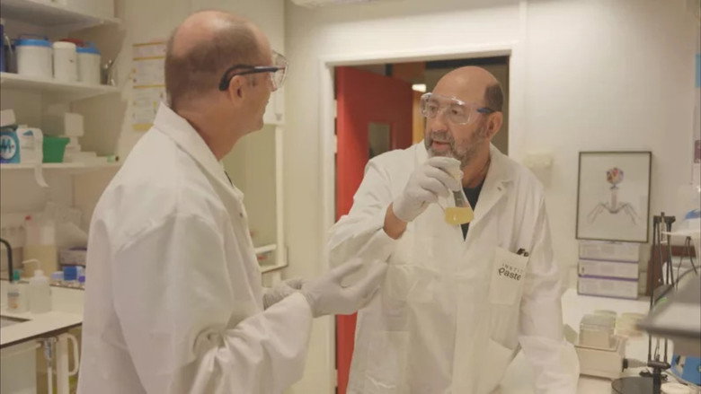 Traquer l'invisible - Nos chercheurs face à la menace mondiale des virus et des bactéries backdrop 3