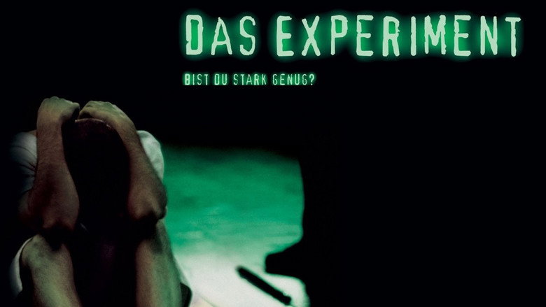 The Experiment backdrop 2