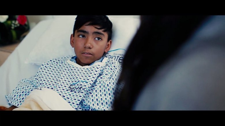 Ricardo Silva Ortega