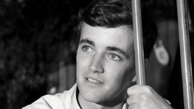 Across Walnuts and Wine