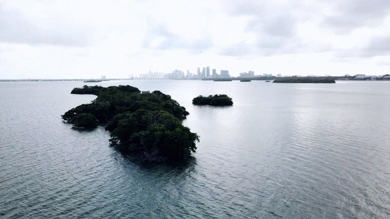Remembering Surrounded Islands backdrop 5