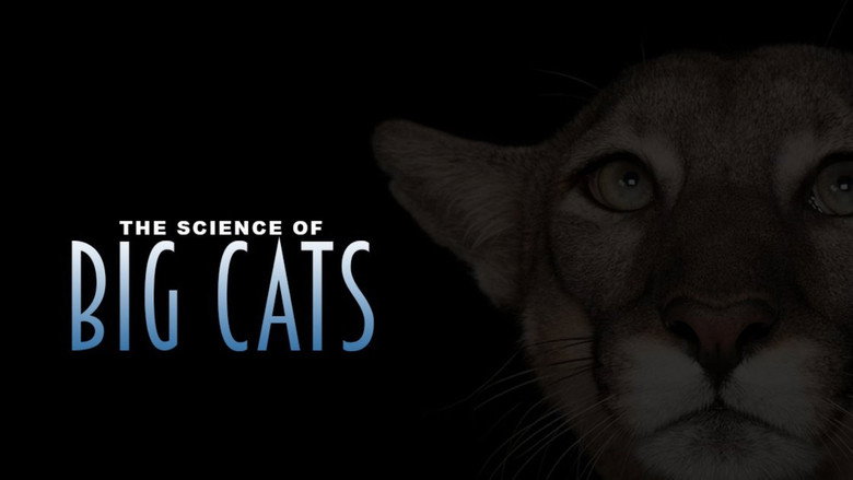 Big Cats backdrop 3