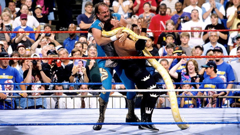 WWE SummerSlam 1996 backdrop 8