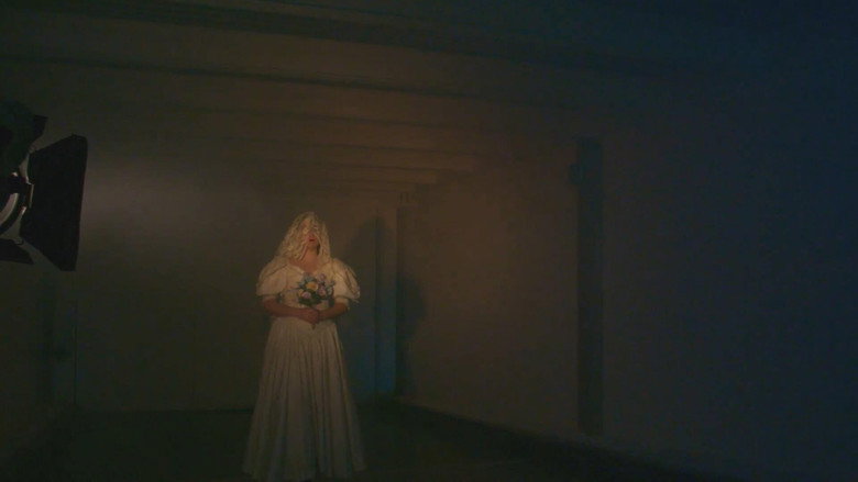 Nuptials of Dracula backdrop 3