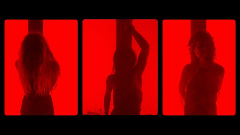 Lux Æterna backdrop 6