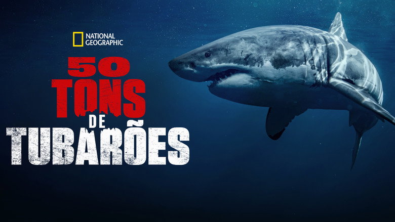 50 Shades of Sharks backdrop 4