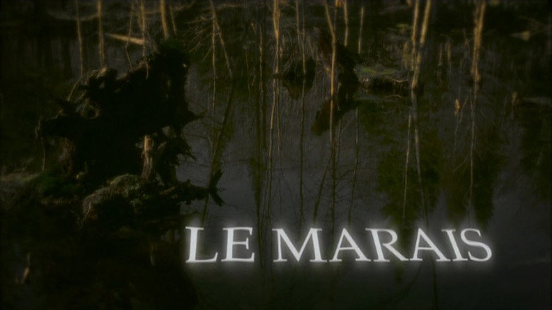 The Marsh backdrop 2