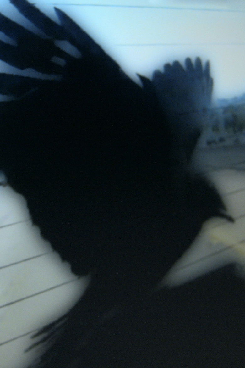 Drive with Persephone