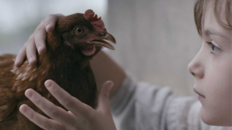 The Chicken backdrop 2
