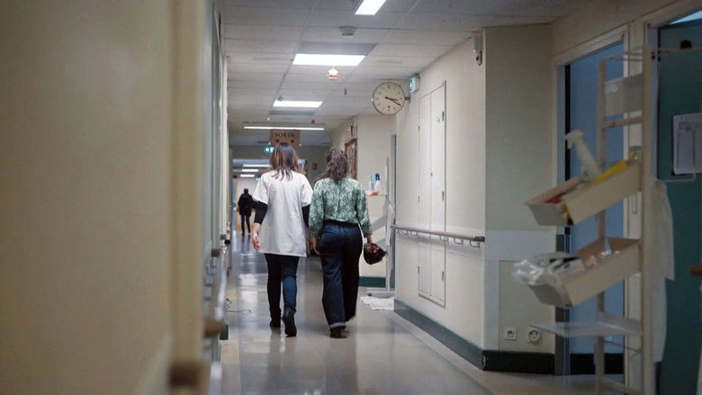 Romania attracts medical students