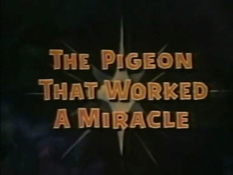 The Pigeon That Worked a Miracle