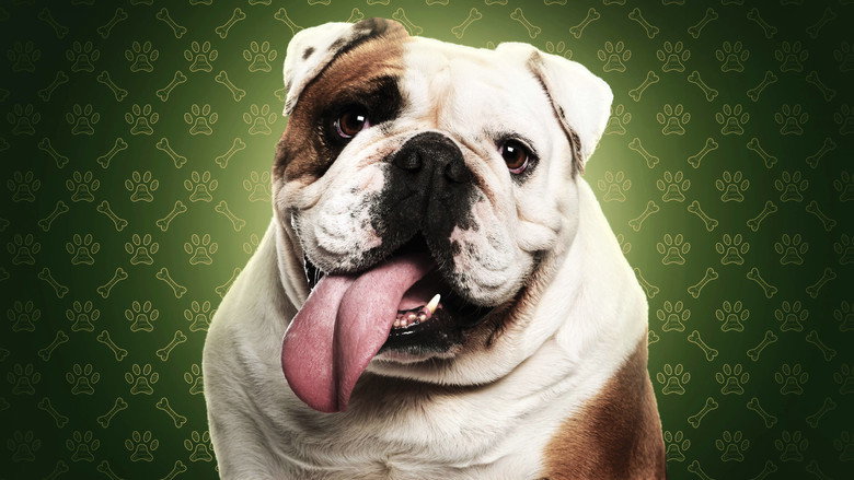 The Dog House backdrop 2