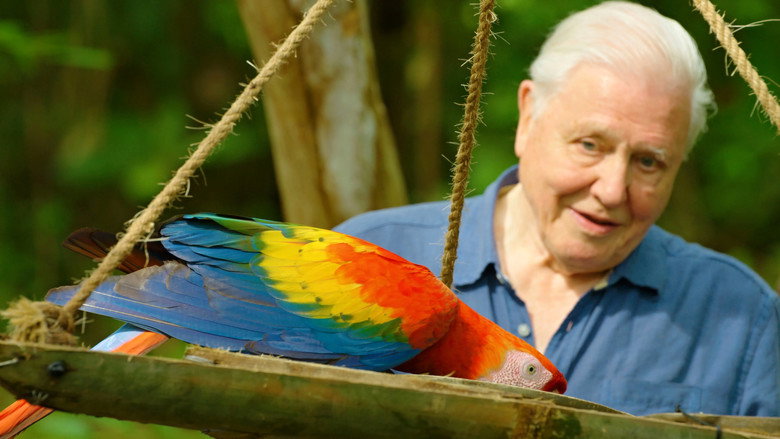 Attenborough's Life in Colour backdrop 6