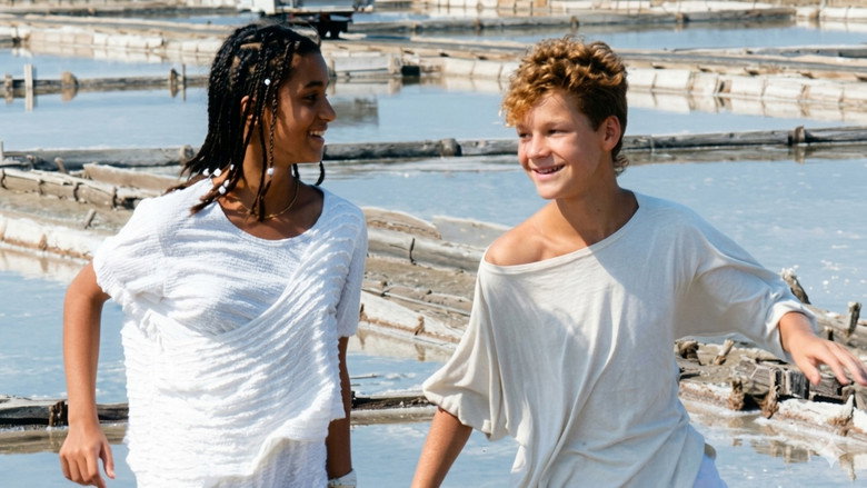 A Summer in a Sea Shell backdrop 4
