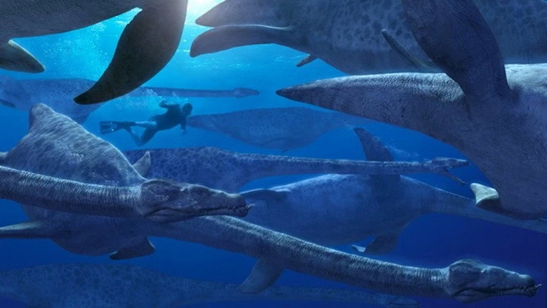 Sea Monsters backdrop 6