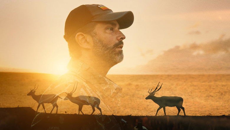 The Lanai Experience