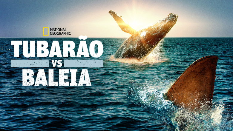 Shark Vs. Whale backdrop 7