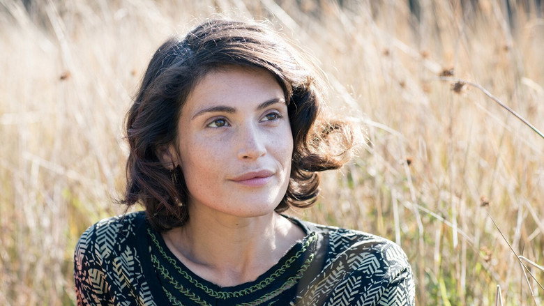 Summerland backdrop 8