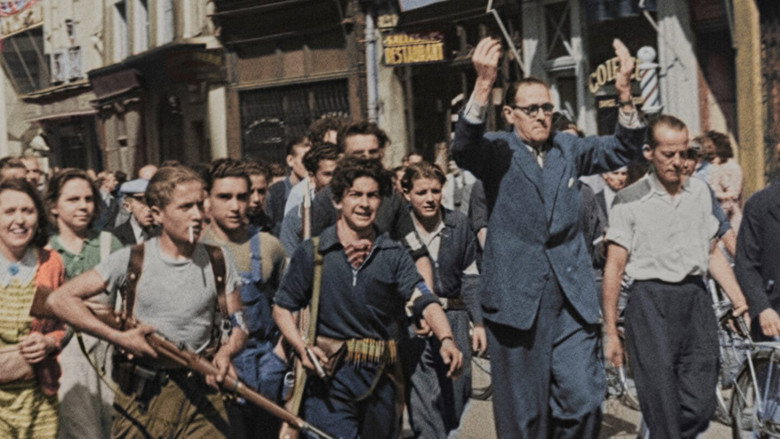 La France de l'épuration, entre vengeance et justice backdrop 9