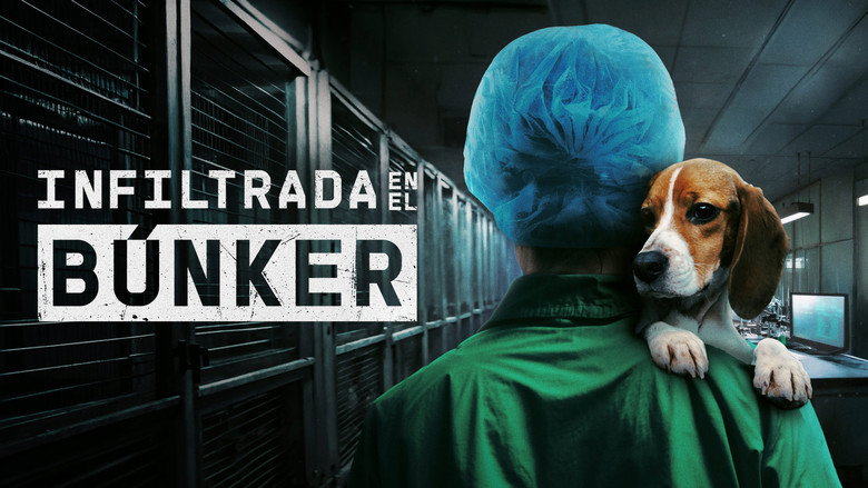 Undercover. Inside the Bunker backdrop 2