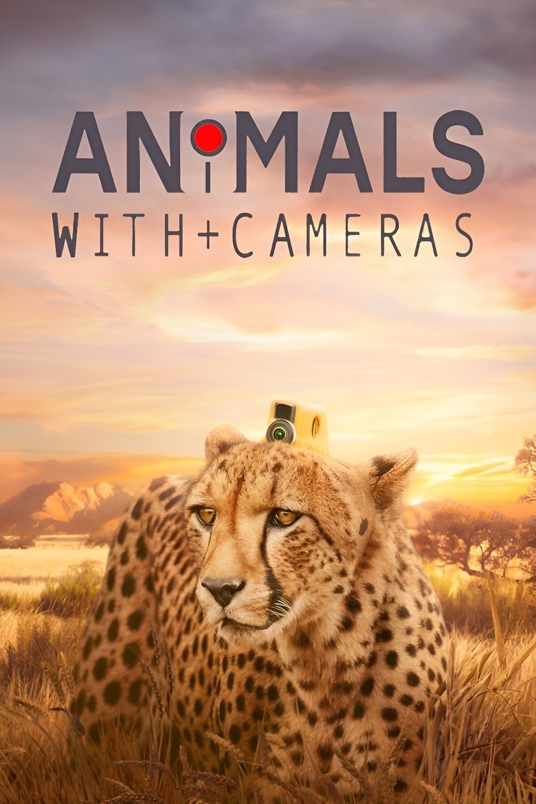 Animales con camaras