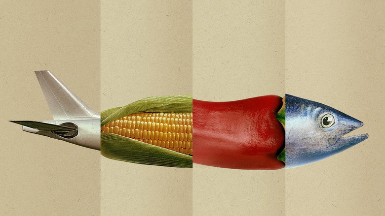 Omnivore backdrop 5