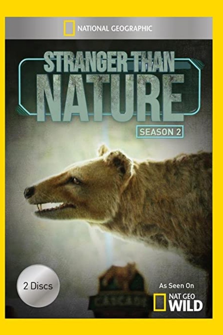 /mzyRnqvBuNS6ikFhHWhUymcbBtn.jpg