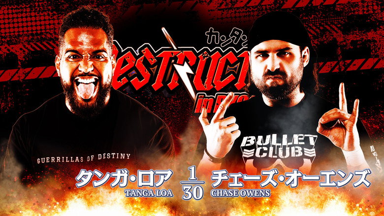 NJPW Destruction In Ryogoku 2023 backdrop 8