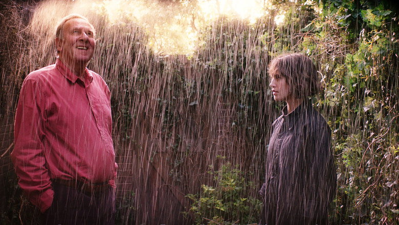 This Beautiful Fantastic backdrop 7