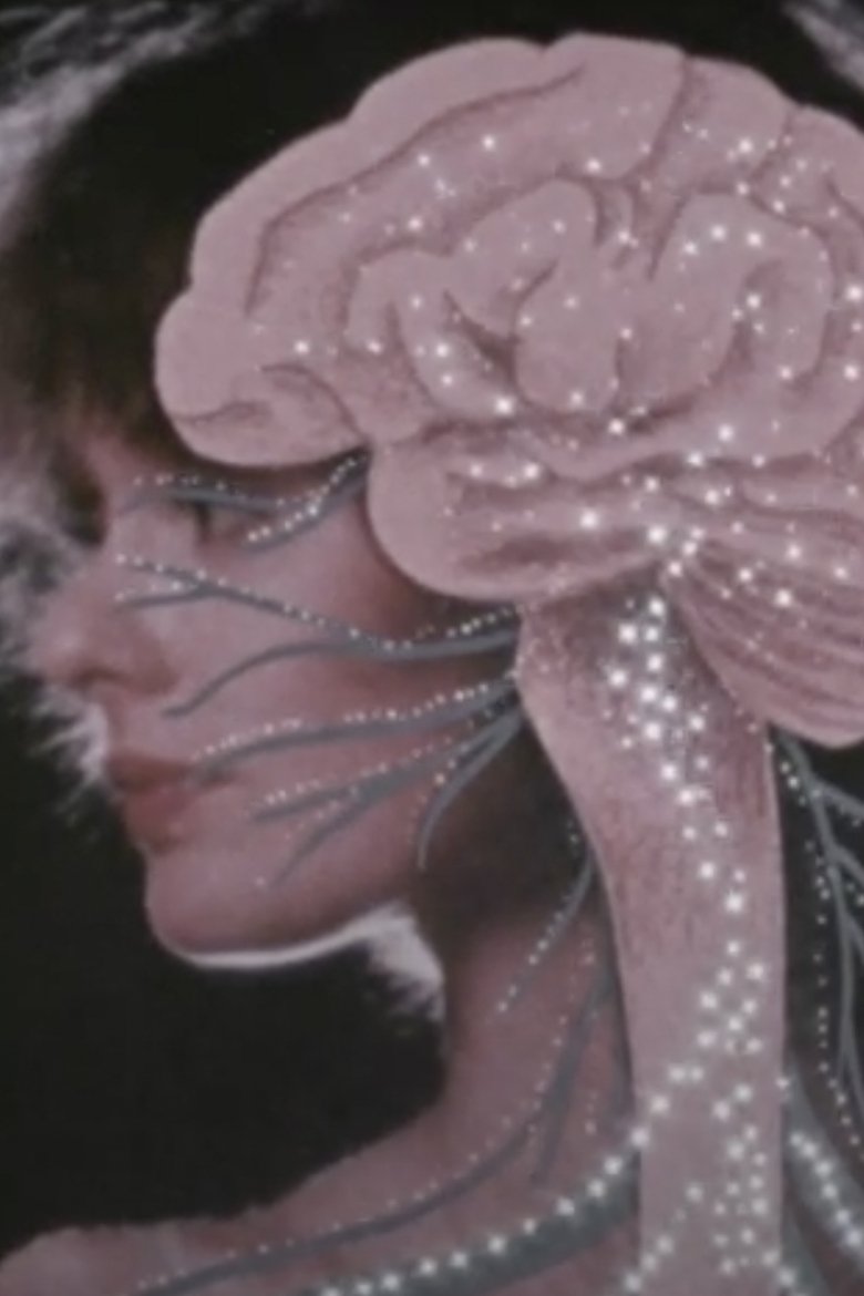 The Human Body - Systems Working Together