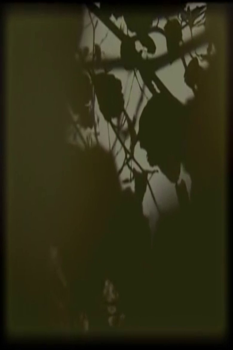 B#O 000001
